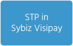 STP in Sybiz Visipay